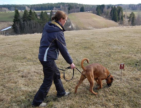 jäljestystä