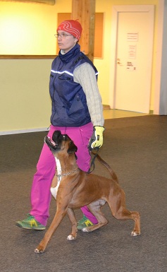 ares