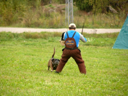 pitkaliike