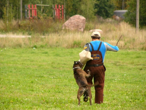 pako