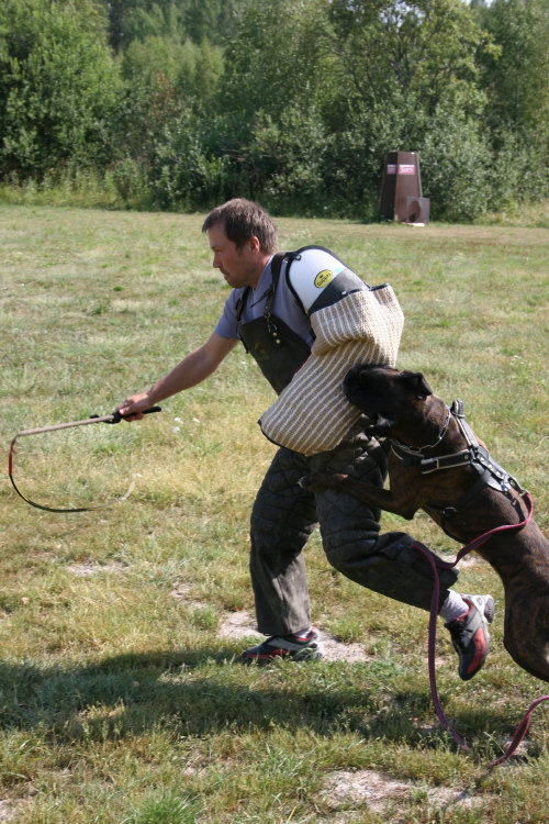 pako