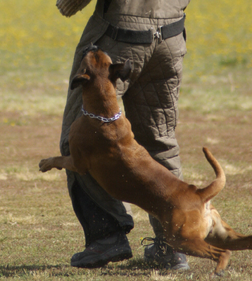 pako