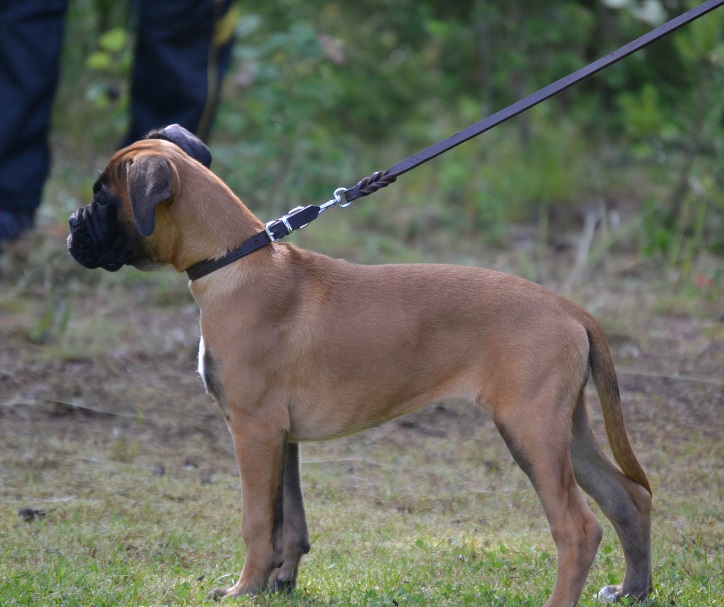 etti