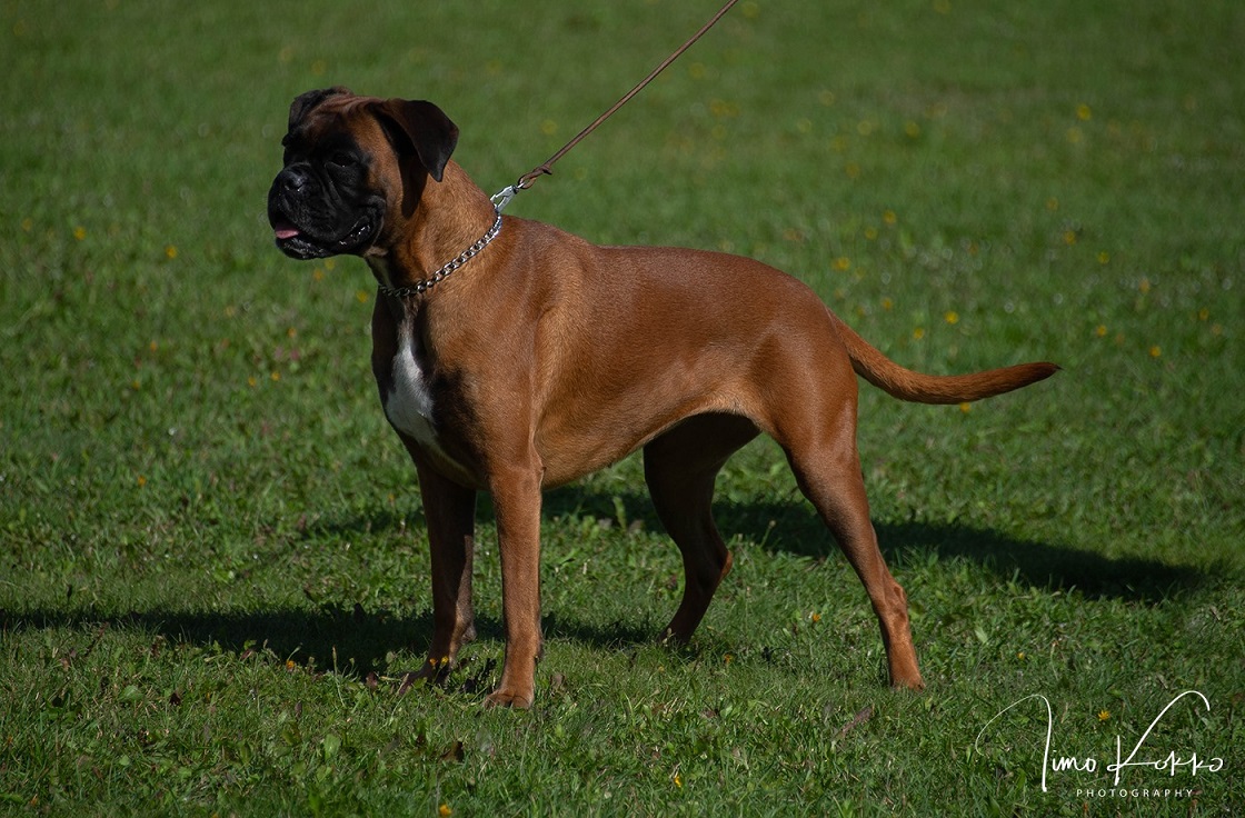 etti