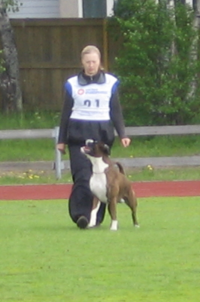 jasu seuraa