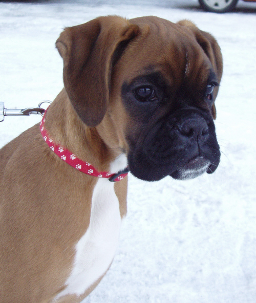 nala