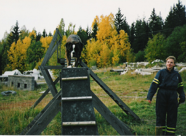 harjoituksissa